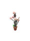 Pink Cactus 57cm Supergreens