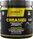 Creasize Креатин Лимон 300гр