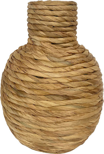 bananenpflanze musa basjoo kaufen Bananenpflanze Musa basjoo - Musa basjoo main image 0