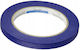Blue Dolphin Professional Painter's Tape 10mm 50m