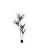 Gladiolus Baum Künstlich Topf 180cm Pvc Grünes Schwarzes Zement C540563