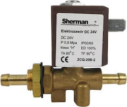 Gas Solenoid Valve 24v