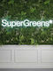 Supergreens Συνθετική Φυλλωσιά σε Καφασωτό Moss "Silva Luminis" Πράσινη 1x1m Silva Luminis