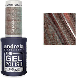 Andreia Gel Polish Chalet Chic Collection 10.5м...