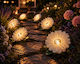 Solar Pathway Light Flower White Led Garden & Yard