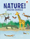Amazing Animals - Hungry Tomato Ltd - Paperback / Softback