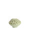Light & Living Decorative Ceramic Vase Lirien Green H23cm