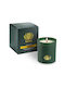 Candle Light Αρωματικό Κερί σε Βάζο με Άρωμα Βανίλια 250gr