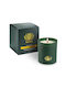 Candle Light Aromatisches Kerze in Gefäß mit Kürbis Parfüm 250gr