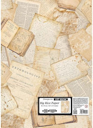 Decoupage Rice Paper Large Size Stamperia 50x70...