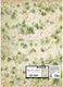 Decoupage Large Size Rice Paper Stamperia 50x70...