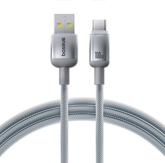 Baseus USB 2.0 Кабел USB-C Мъжки - USB-A 100W Сребрист 1m E0420802