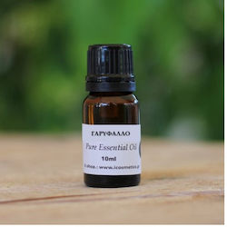 ICosmetics Ätherisches Öl Gewürznelken 10ml ICosmetics Ätherisches Öl Gewürznelken 10ml