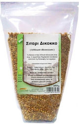 HealthTrade Bio Σπόροι Σίτου 5000gr
