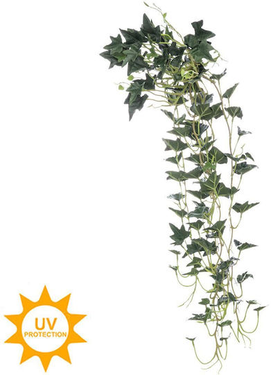 Ivy În Aer Liber 73cm Iliadis