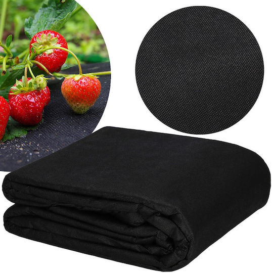 Folie Agrotextilă Anti- buruieni Zola 1.6 X 20 M Filtru Uv Reține Umiditatea Încălzește Solul 50 G/m2 Pp Neagră Folie Agrotextilă Anti- buruieni Zola 1.6 X 20 M Filtru Uv Reține Umiditatea Încălzește Solul 50 G/m2 Pp Neagră