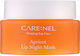 Carenel Mască De Buze Apricot 23gr