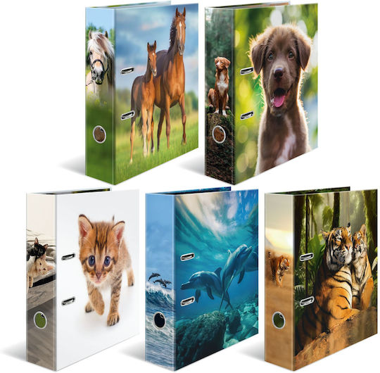 1x10 Herma Motiv Mape Cu Inele În Formă De Arc Din A4 Favorite Animals 20096