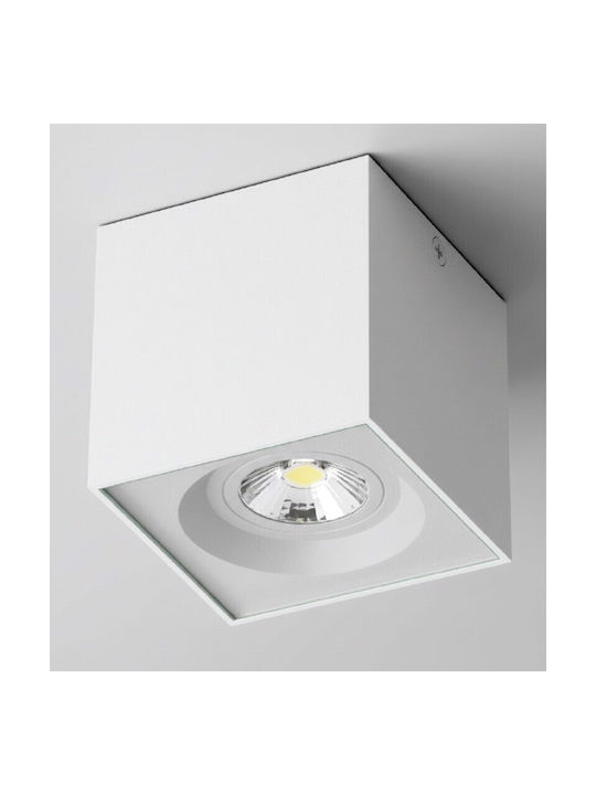 Inlight Outdoor Ceiling Spot GU10 in White Colour 80301024