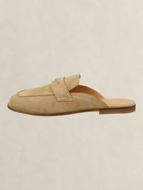 Gant