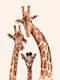 Παιδική Αφίσα Giraffe Famliy 50x40εκ.