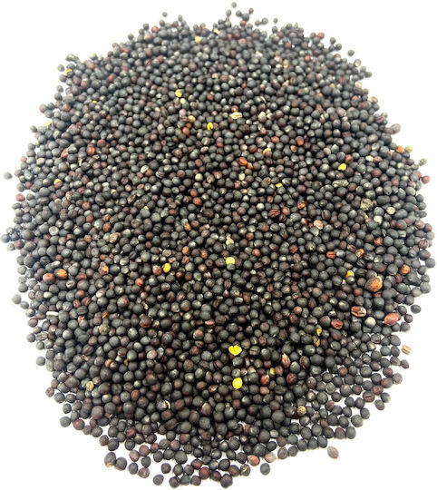 Semințe De Rapiță 50 G Natural Shop