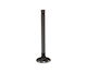 Auslassventil S Nippon Max100 KAZE R 115 Ax-1