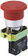 Graecus Safety Push Button Rsc100/rsc120