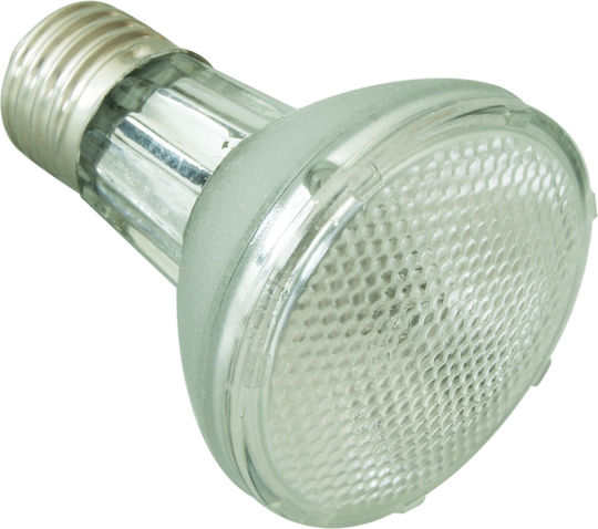 Reptizoo Lampă Halogen Spot Uva Pentru Încălzire 75 Watt
