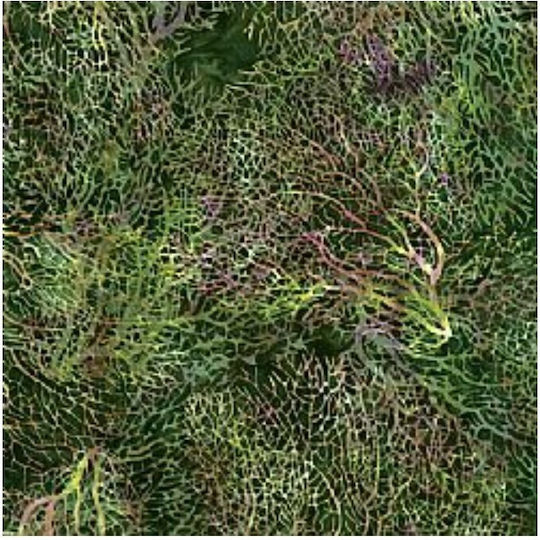 Oxygen Μαξιλαροθήκη Green Vein Tree Πράσινη 45x45εκ.