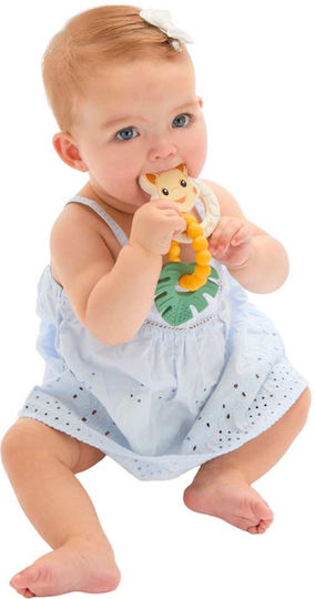 Sophie Giraffe Μασητικό Οδοντοφυΐας από Πλαστικό