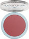 Garden Flush Blush Rouge & Blush 9g