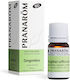 Pranarom Ulei Ginger 5ml