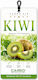 Carro 395592 Car Air Freshener Pendant Carro Air Kiwi Scent