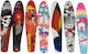 Complete Shortboard