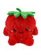 Kids Throw Pillow Red
