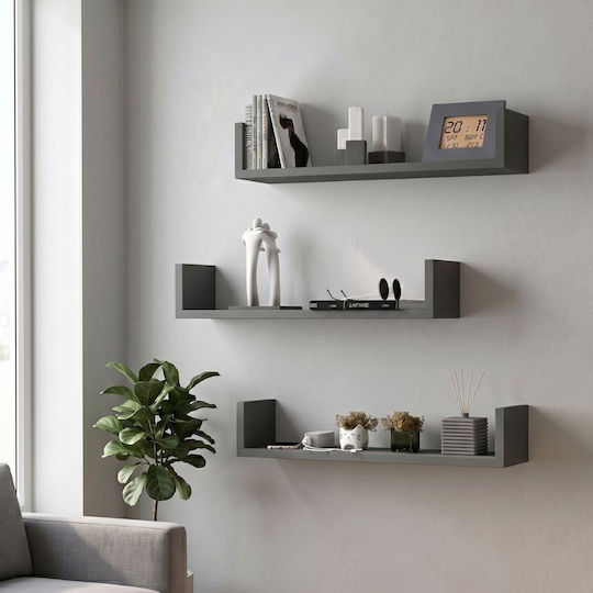 Dark Anthracite Wall Shelves (3 Pieces) 60x15x12cm