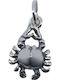 Handy Charm Semn Zodiacal Rac din Argint