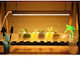 Alista Home Grow Light cu LED