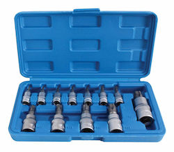 Set Biți Cu Cap Hexagonal Torx 5 Colțuri Gaură Ts8-ts60 12 Bucăți Set Biți Cu Cap Hexagonal Torx 5 Colțuri Gaură Ts8-ts60 12 Bucăți