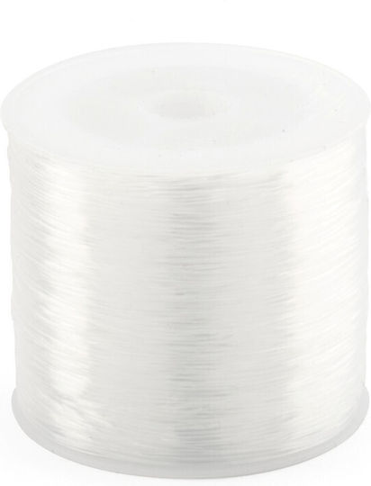 Fishing Line Transparent 0.6mm 100m Pack 1 Card