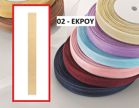 Σετ Οργάντζα Κορδέλα Μπεζ 50m 5τμχ