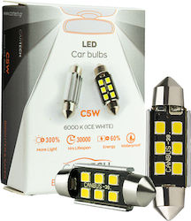 Cartech Λάμπες LED Ψυχρό Λευκό 6τμχ Cartech Λάμπες LED Ψυχρό Λευκό 6τμχ