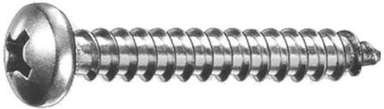 Blechschraube mit Durchmesser M2 und Länge 10mm
