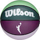 Wilson Basketbälle