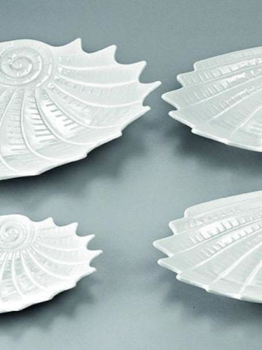 Porcelain White Trays Clamshells Set 4 Pieces 35x25 30x21