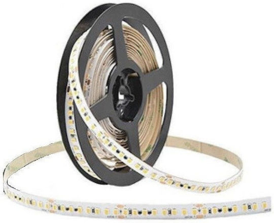 Cubalux Waterproof LED Strip 24V Blue Light 15m