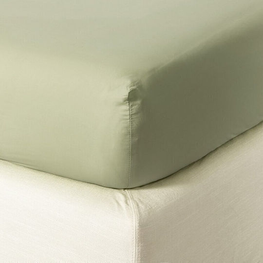 Zucchi Collection Super-Double Bed Sheet with Rubber Hugger 175x200+30cm Light Khaki