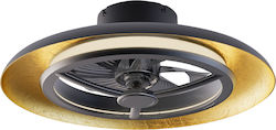 Aca Ceiling Light 55cm with Light Black / Gold FAN3231168