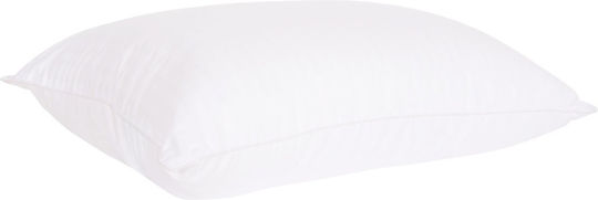 Freebox Polyester 50x70cm